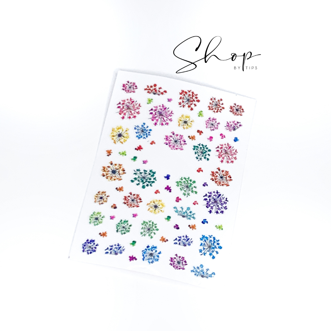 Dried Flowers