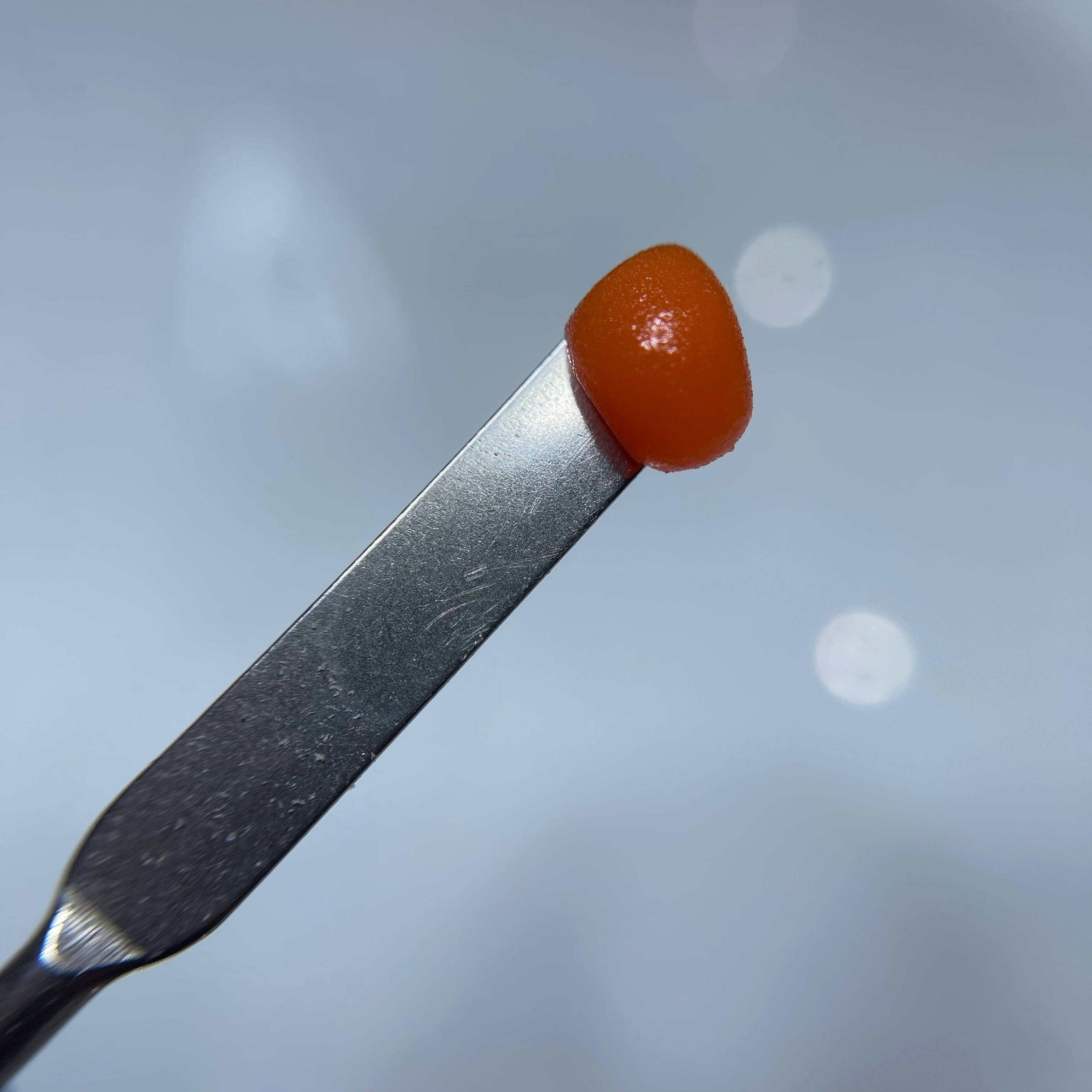CARROT