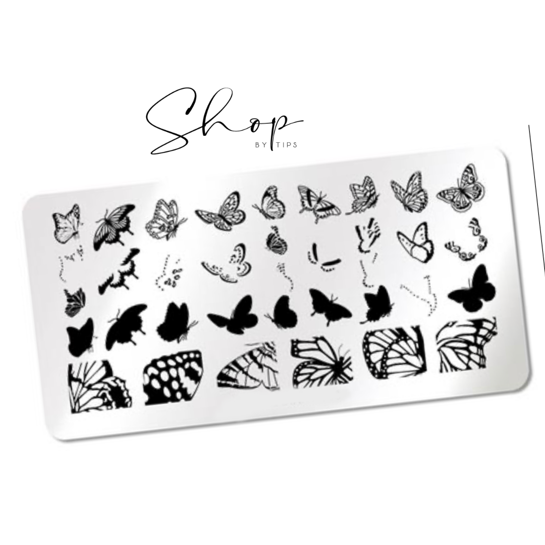 Realistic Butterfly