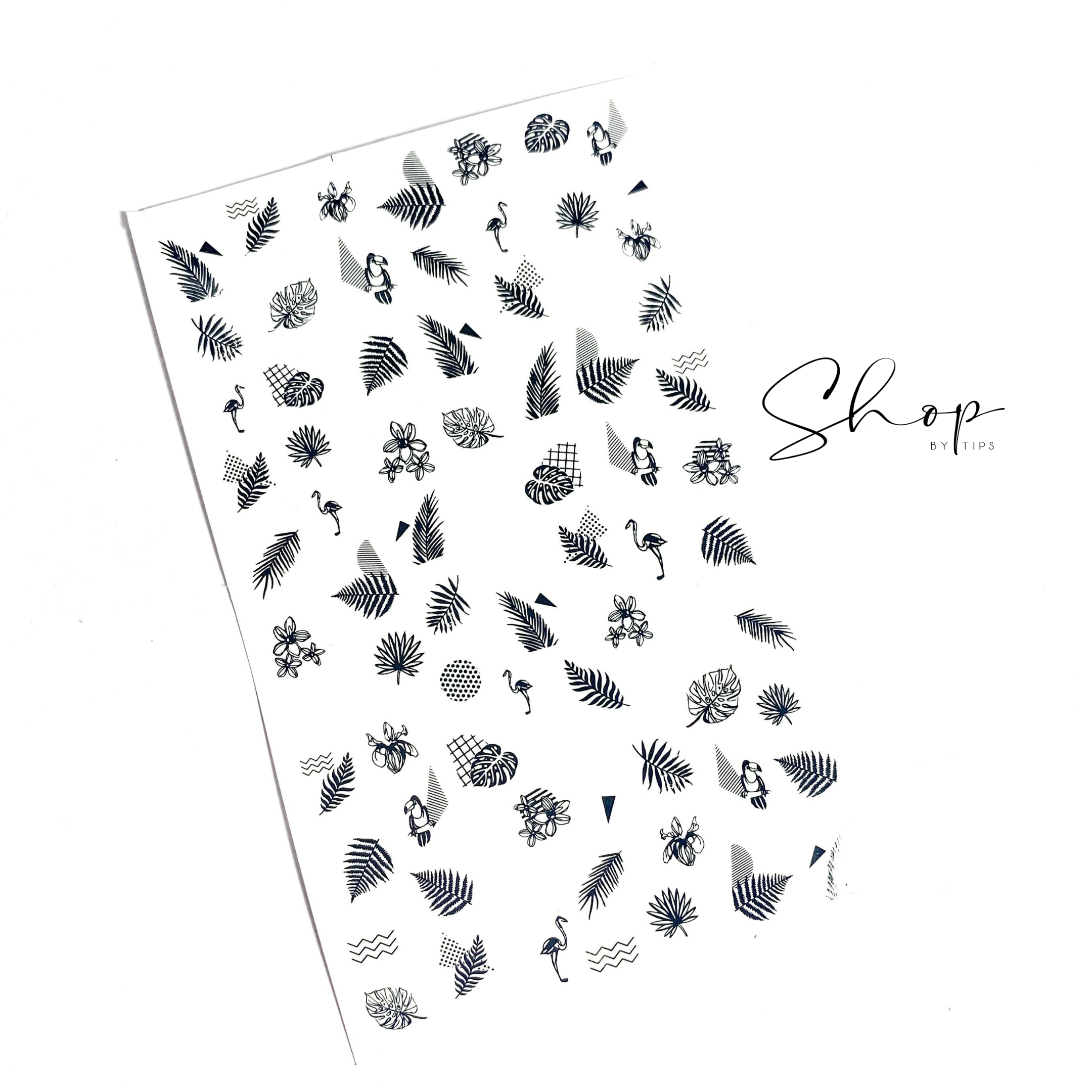 Black Leaves & Flamingos